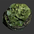 Ancient Stone Ruins Surrounded By Wooden Trees And Moss Covered Stones
