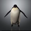 Standing Penguin With Black And White Body Red Beak 3D Rendered On Gray Background
