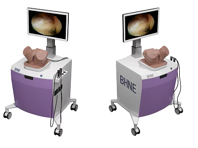 Mobile BHNE Medical Training Device With Monitor Display And Wheeled Cart 3d model