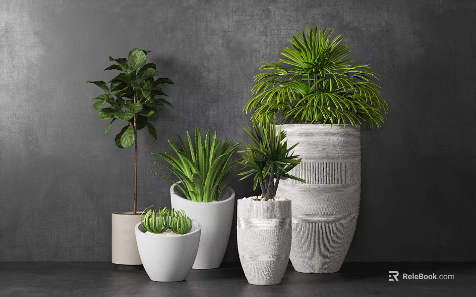 Various Bonsai Potted Plants In White Textured Planters For Indoor Decoration 3d model 