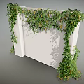 Lush Green Vines Climbing On White Wall With Dense Leaves And Shadows
