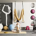 Sports Equipment Setup With Yoga Hammock Colored Exercise Balls Yoga Mat And Stationary Bike