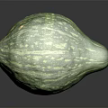 Single Fresh Green Striped Round Vegetable with Shiny Surface on Black Background