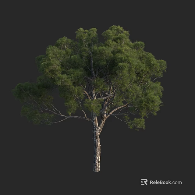 Tall Arbor With Lush Green Leaves Strong Trunk And Dense Canopy 3d model 
