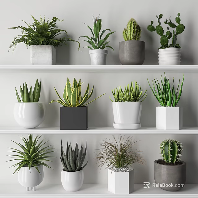 Various Bonsai Potted Green Plants On Shelves With Different Shaped Pots 3d model 