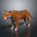 Realistic 3D Leopard Model With Detailed Fur Pattern Standing On Black Background With Reflection