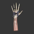 Anatomical Mechanical Hand With Detailed Muscle Structure And Prosthetic Device Components 3d model