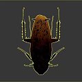 Detailed 3D Rendered Cockroach With Red Brown Body And Orange Back On Gray Gradient Background