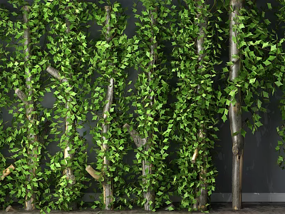 Living Plant Wall Design With Lush Green Foliage And Natural Tree Trunks 3d model
