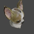 Chihuahua Game Movie Character With Big Ears Brown White Fur And Expressive Face