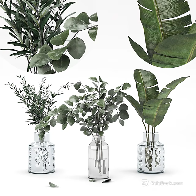 Decorative Glass Vases With Green Foliage And Various Leafy Plants Arrangement 3d model 
