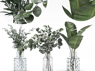 Decorative Glass Vases With Green Foliage And Various Leafy Plants Arrangement 3d model