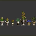 Colorful Potted Plants With Various Flowers Green Leaves And Decorative Golden Pots
