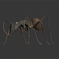 Detailed Black Ant Figure With Long Legs And Brown Abdomen On Dark Background