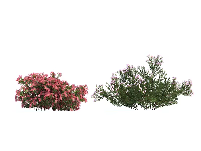 Lush Flowering Arbor with Pink and White Blooms in Garden Landscape Design 3d model