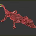 Realistic 3D Crocodile Model with Scaly Skin and Green Eyes on Gray Background
