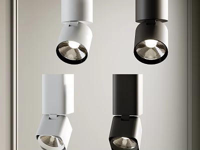 Modern Sleek Design White And Black Downlights And Spotlights For Home Lighting 3d model