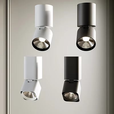 Modern Sleek Design White And Black Downlights And Spotlights For Home Lighting 3d model