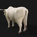 White Horned Bull Standing On Black Background With Realistic Details
