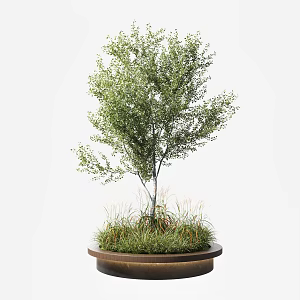 Modern Tree Pool Park Bench Trees Grassland Combination 3d model
