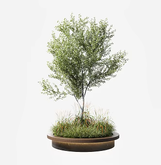 Modern Tree Pool Park Bench Trees Grassland Combination 3d model