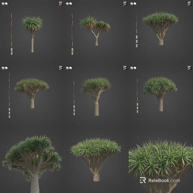 Various Arbor Tree Varieties with Diverse Foliage and Trunk Shapes 3d model