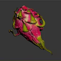 Vibrant Pink Dragon Fruit With Fresh Flesh And Green Leafy Tips On Dark Background