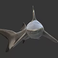 Gray Shark Swimming In Ocean With Sharp Fin And Powerful Tail 3d model