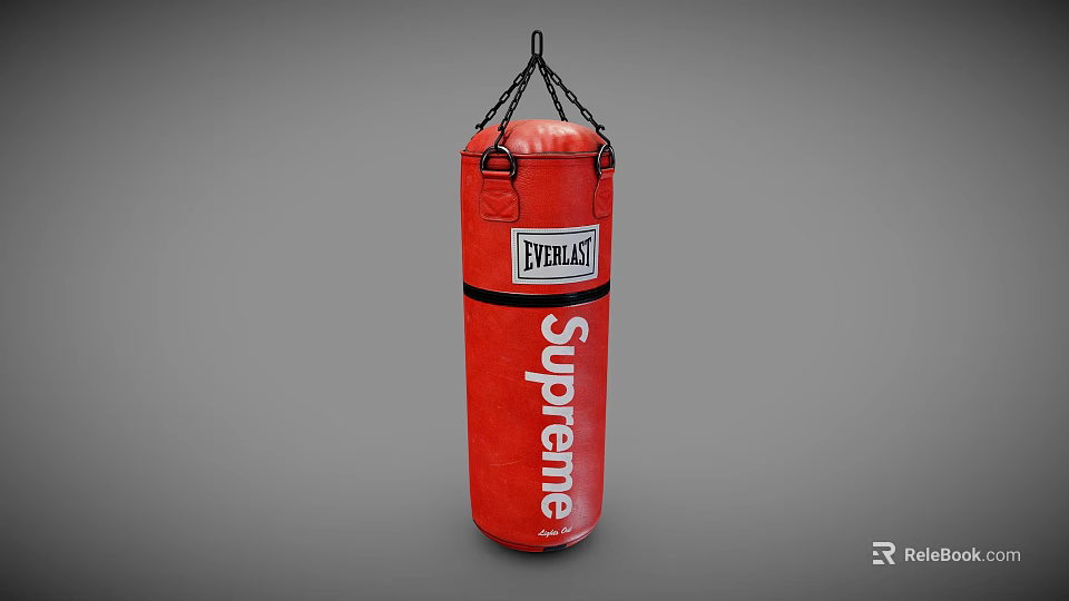 Everlast Supreme Red Punching Bag With Chain Hanging For Fitness Training 3d model 