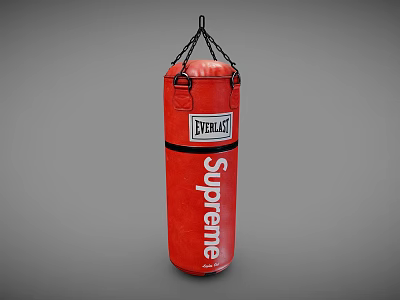 Everlast Supreme Red Punching Bag With Chain Hanging For Fitness Training 3d model