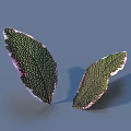 Two Green Leaves with Purple Edges and Textured Veins on Blue Background