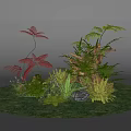 Vibrant Red And Green Ferns With Various Green Plants On Grassy Ground And Rock