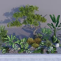 Various Succulent Plants With Green Foliage And Decorative Stones In Indoor Garden
