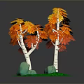 Vibrant Orange Red Leaf Trees with White Trunks on Green Grass and Stones