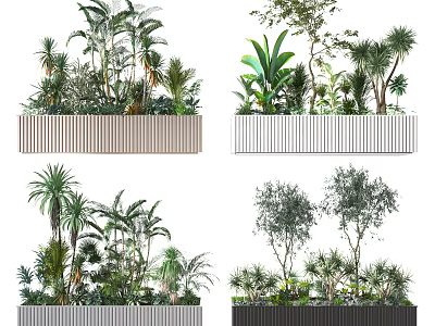 Varied Bonsai Potted Plants Featuring Palm Trees Shrubs and Tropical Greenery in Rectangular Planters 3d model