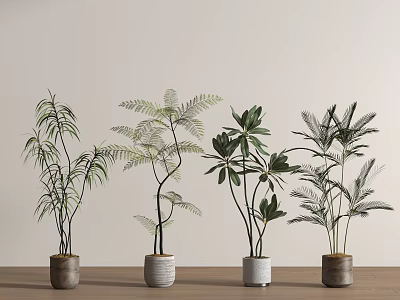 Green plant potted floor 3d model