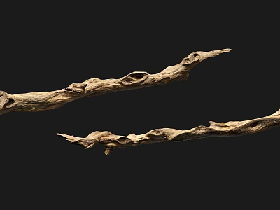 Natural Wood Branches With Intricate Texture And Curved Design For Decoration 3d model