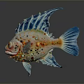 Colorful Fish with Blue Fins Tail and Orange Yellow Spots Decorative Details