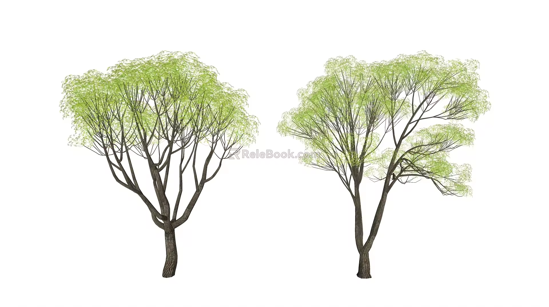 Modern Tree Landscape Tree 3d model
