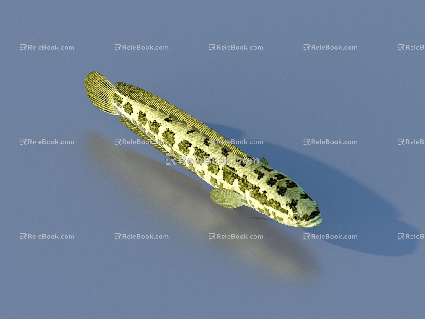 fish freshwater fish aquatic animal 3d model