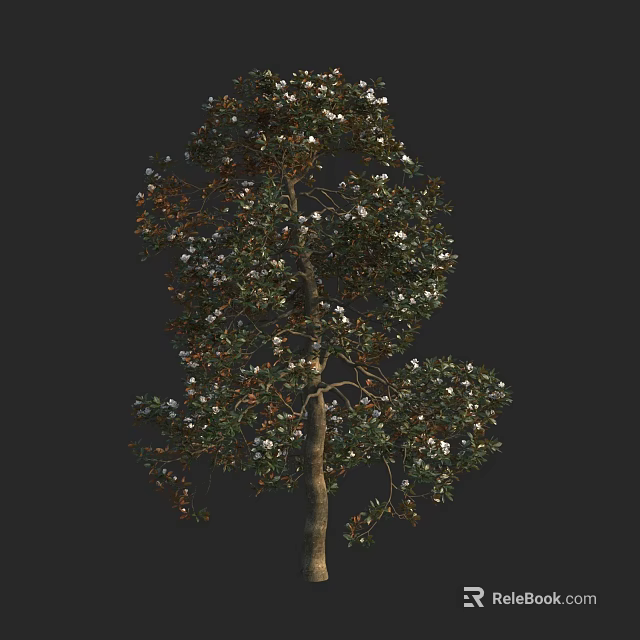Lush Arbor with Green Leaves White Flowers and Sturdy Trunk 3d model 