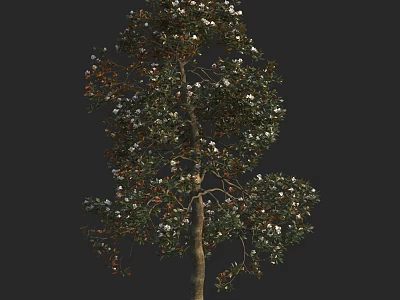 Lush Arbor with Green Leaves White Flowers and Sturdy Trunk 3d model