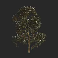 Lush Arbor with Green Leaves White Flowers and Sturdy Trunk