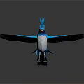 Vibrant Blue Bird With Spread Wings White Belly And Orange Beak On White Background