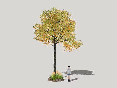 Arbor With Yellow Green Leaves Brown Trunk Person Standing By Stone Base 3d model