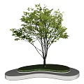 Simple Modern Tree Pit Design With Green Grass And Single Tree On White Curved Base