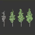 Four Trees Featuring White Trunks Black Stripes Withered And Lush Green Leaves On Grey Background 3d model