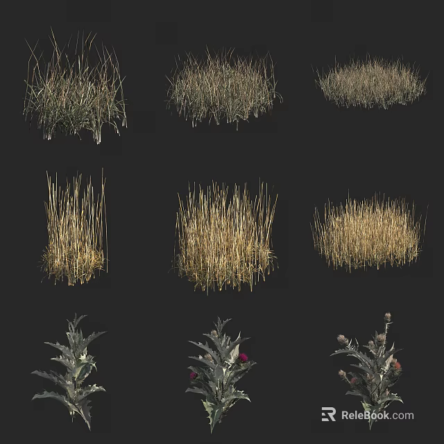 Various Types of Flowers and Grasses With Different Shapes and Colors on Black Background 3d model 