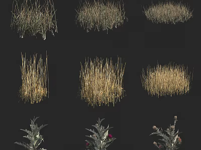 Various Types of Flowers and Grasses With Different Shapes and Colors on Black Background 3d model