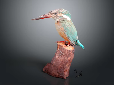 Vibrant colorful kingfisher bird perched gracefully on wooden stump with long beak 3d model